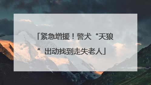 紧急增援！警犬“天狼”出动找到走失老人