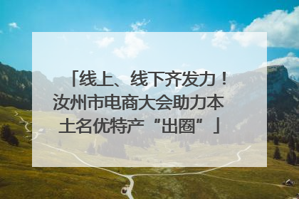 线上、线下齐发力！汝州市电商大会助力本土名优特产“出圈”