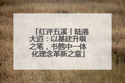 红评五溪丨陆港大道：以基建升级之笔，书鹤中一体化理念革新之章