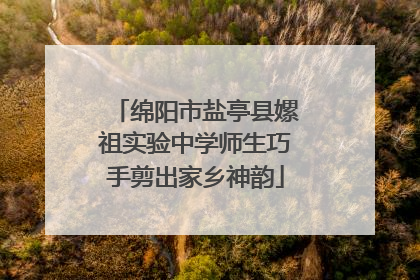 绵阳市盐亭县嫘祖实验中学师生巧手剪出家乡神韵