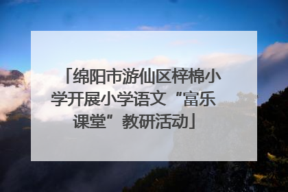 绵阳市游仙区梓棉小学开展小学语文“富乐课堂”教研活动