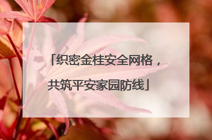 织密金桂安全网格，共筑平安家园防线