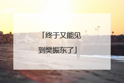 终于又能见到樊振东了