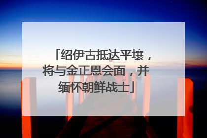 绍伊古抵达平壤，将与金正恩会面，并缅怀朝鲜战士