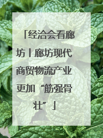经洽会看廊坊丨廊坊现代商贸物流产业更加“筋强骨壮”