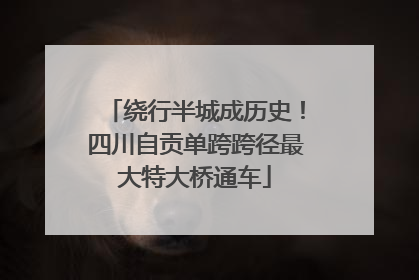 绕行半城成历史！四川自贡单跨跨径最大特大桥通车