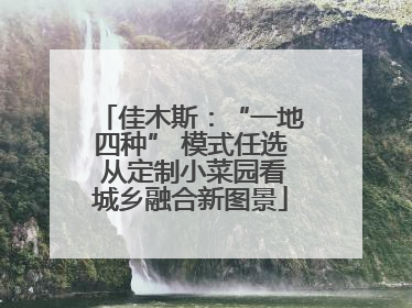 佳木斯：“一地四种” 模式任选 从定制小菜园看城乡融合新图景