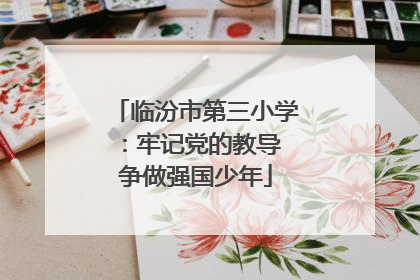 临汾市第三小学：牢记党的教导 争做强国少年