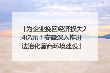 为企业挽回经济损失2.4亿元！安徽深入推进法治化营商环境建设