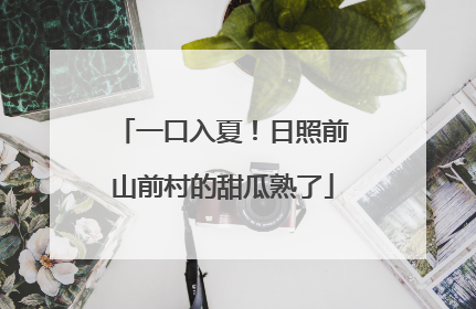 一口入夏！日照前山前村的甜瓜熟了