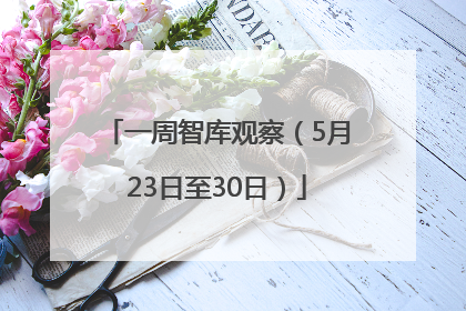 一周智库观察（5月23日至30日）