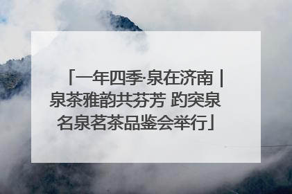 一年四季·泉在济南｜泉茶雅韵共芬芳 趵突泉名泉茗茶品鉴会举行