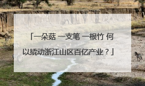 一朵菇 一支笔 一根竹 何以撬动浙江山区百亿产业？