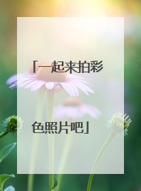 一起来拍彩色照片吧