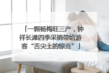 一颗杨梅旺三产，钟祥长滩四季采摘带给游客“舌尖上的惊喜”