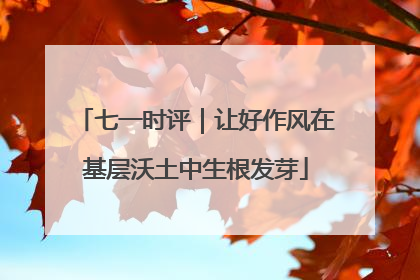 七一时评｜让好作风在基层沃土中生根发芽