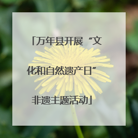 万年县开展“文化和自然遗产日”非遗主题活动