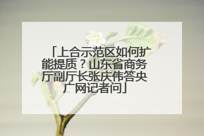 上合示范区如何扩能提质？山东省商务厅副厅长张庆伟答央广网记者问