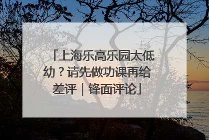 上海乐高乐园太低幼？请先做功课再给差评｜锋面评论