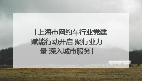 上海市网约车行业党建赋能行动开启 聚行业力量 深入城市服务