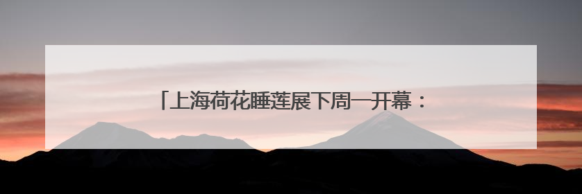 上海荷花睡莲展下周一开幕：五个公园联动，还可夜赏睡莲