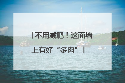 不用减肥！这面墙上有好“多肉”