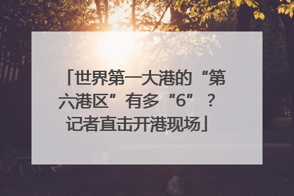 世界第一大港的“第六港区”有多“6”？记者直击开港现场