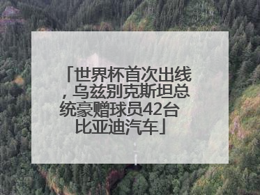 世界杯首次出线，乌兹别克斯坦总统豪赠球员42台比亚迪汽车