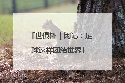 世俱杯｜闲记：足球这样团结世界