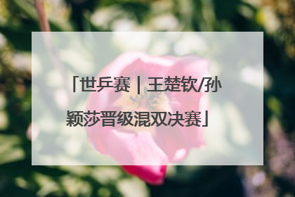 世乒赛｜王楚钦/孙颖莎晋级混双决赛