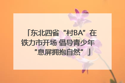 东北四省“村BA”在铁力市开场 倡导青少年“息屏拥抱自然”