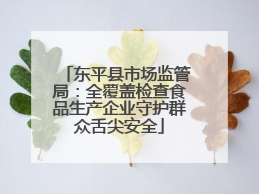 东平县市场监管局：全覆盖检查食品生产企业守护群众舌尖安全