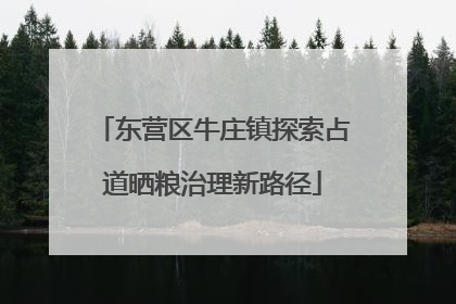 东营区牛庄镇探索占道晒粮治理新路径