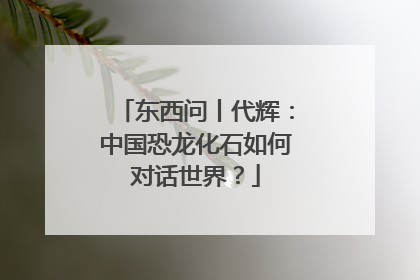 东西问丨代辉：中国恐龙化石如何对话世界？