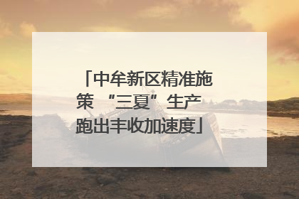 中牟新区精准施策 “三夏”生产跑出丰收加速度