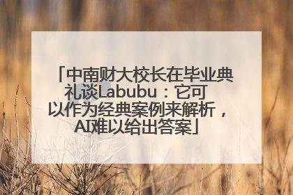 中南财大校长在毕业典礼谈Labubu：它可以作为经典案例来解析，AI难以给出答案