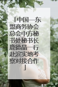 中国—东盟商务协会总会中方秘书处秘书长鹿德晶一行赴滨实地考察对接合作