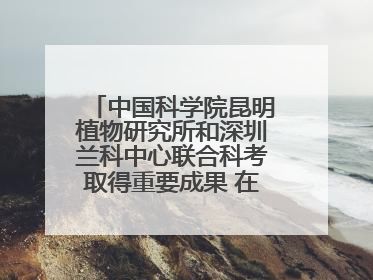 中国科学院昆明植物研究所和深圳兰科中心联合科考取得重要成果 在神农架发现两种“国保”级兰花
