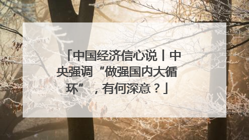 中国经济信心说丨中央强调“做强国内大循环”，有何深意？