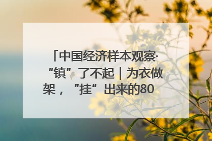 中国经济样本观察·“镇”了不起｜为衣做架，“挂”出来的80亿元“衣架产业”