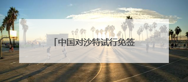 中国对沙特试行免签，来自沙特的他第一次来沪就感受到便利