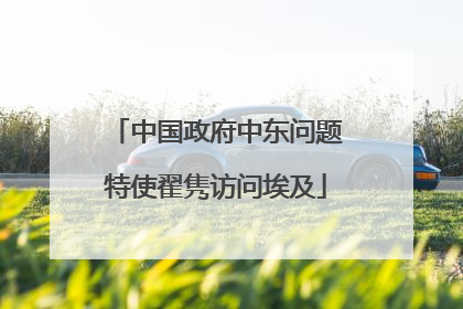 中国政府中东问题特使翟隽访问埃及