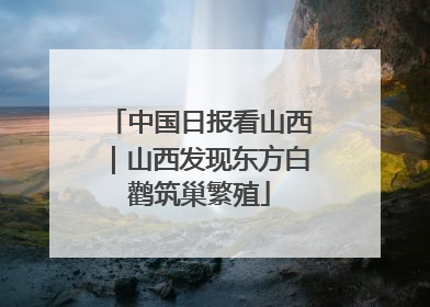 中国日报看山西｜山西发现东方白鹳筑巢繁殖