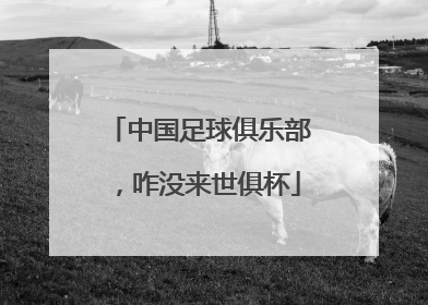 中国足球俱乐部，咋没来世俱杯