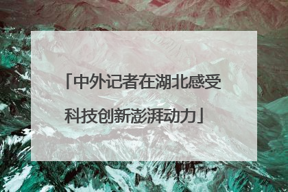 中外记者在湖北感受科技创新澎湃动力