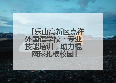 乐山高新区嘉祥外国语学校：专业技能培训，助力棍网球扎根校园