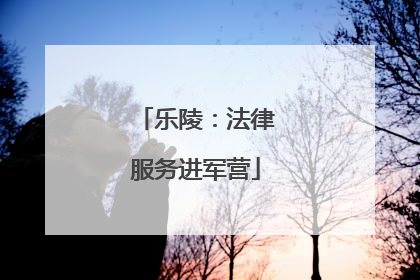 乐陵：法律服务进军营