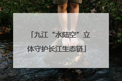 九江“水陆空”立体守护长江生态链
