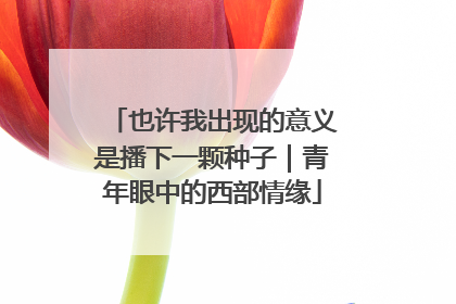 也许我出现的意义是播下一颗种子｜青年眼中的西部情缘