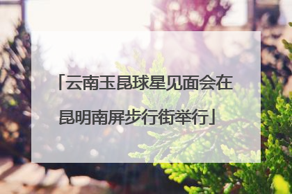 云南玉昆球星见面会在昆明南屏步行街举行